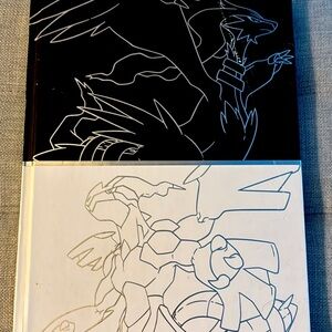 Pokemon Black & Pokemon White Versions Collector’s Edition book